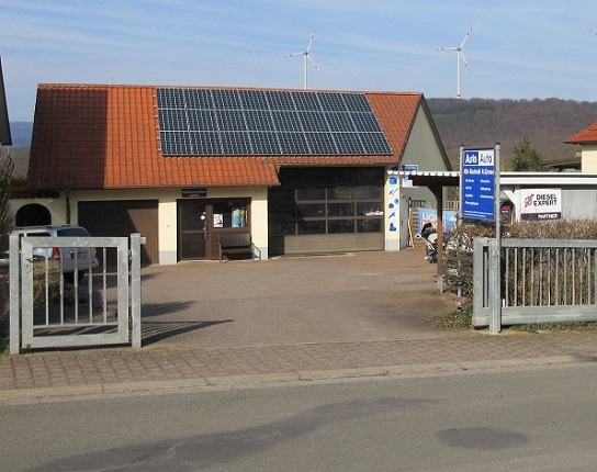 welchen dünger für erdbeerpflanzen Erdbeer Dünger main image 0